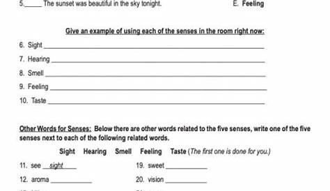 special senses worksheets answer key