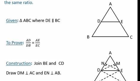 triangle proportionality theorem worksheets
