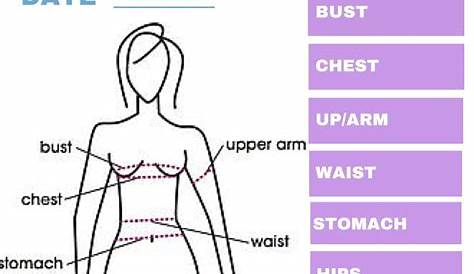 printable body measurement chart female
