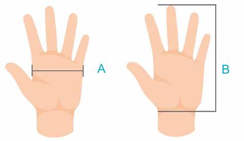 hyflex glove size chart