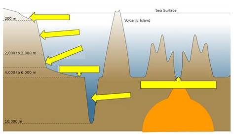 Ocean Floor Diagram Seamount | Review Home Co