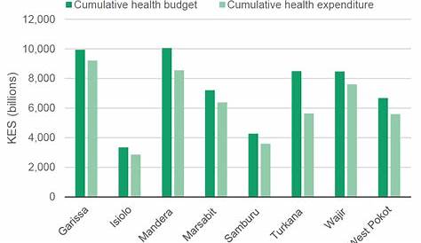 kenya health care diagram budget
