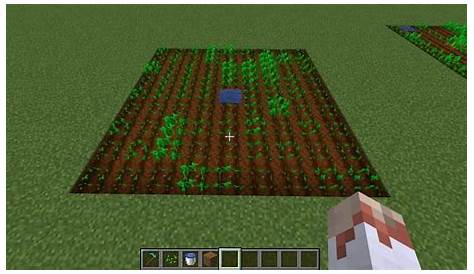 Most Efficient Wheat Farm Minecraft