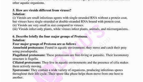 NCERT Solutions Class 11 Biology Chapter 2 Biological Classification