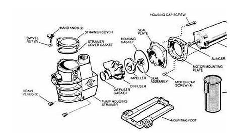 MyPool, Hayward Max-Flo Pump Parts Diagram