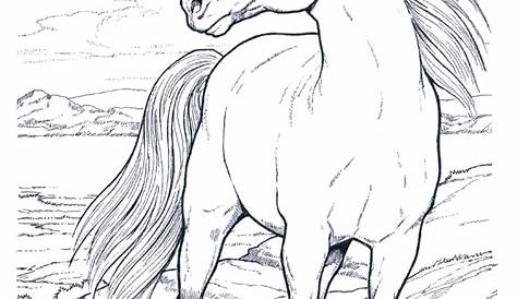 horse printable coloring page