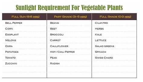 vegetable sunlight requirement chart