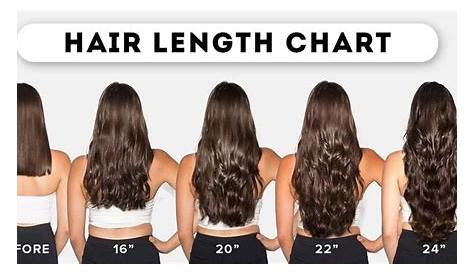 Hair Length Chart: What You Don't Know May Shock You - Lewigs