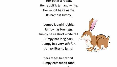 grade 1 rabbit facts worksheet