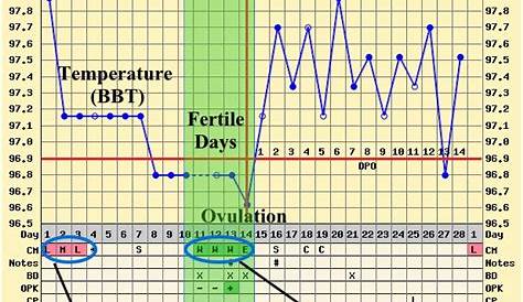 examples of ovulation charts
