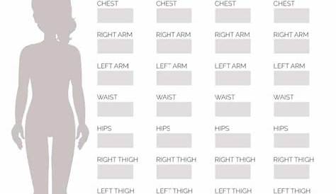 ideal female body measurements chart