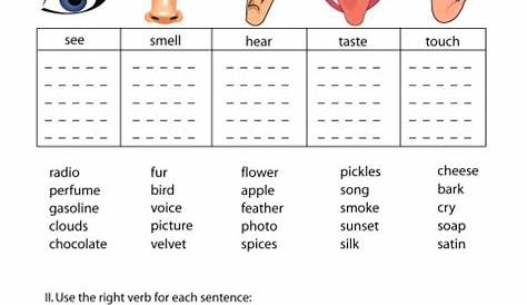 5 Senses Worksheets Printable | New Calendar Template Site