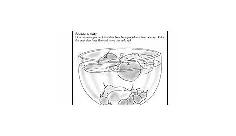 1st grade, 2nd grade, Kindergarten Science Worksheets: Sink or float
