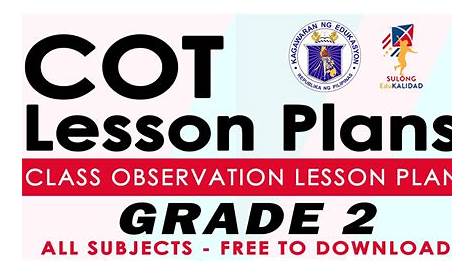cot lesson plan for grade 3