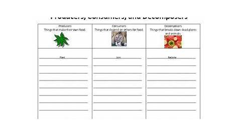 Producers, Consumers, Decomposers Graphic Organizer | Graphic