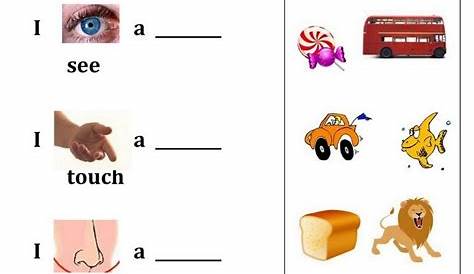 activities for the five senses for preschool sheet – Learning Printable