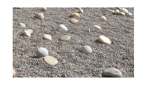 rocks pebbles sand worksheets