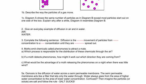 Diffusion Worksheet Answers — db-excel.com