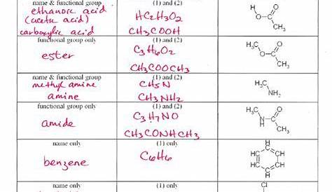 Naming Hydrocarbons Worksheet And Key - Worksheet Now