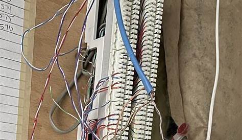 Confused about Ethernet wiring in new home - Home Improvement Stack Exchange