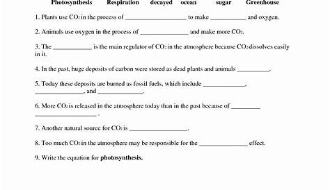 50 The Carbon Cycle Worksheet Answers