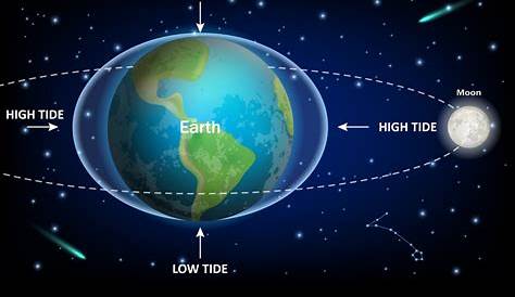 Low and high moon tides education diagram Vector Image