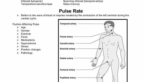 measuring vital signs worksheet