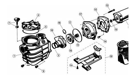 hayward super pump schematic