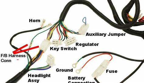 Complete GY6 Wire Harness - Electrical - Street Scooters