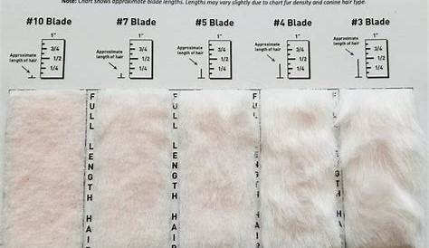 Shave Blade Sample Chart for Grooming in 2020 (With images) | Grooming