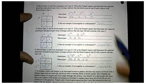 incomplete and codominance worksheets answers