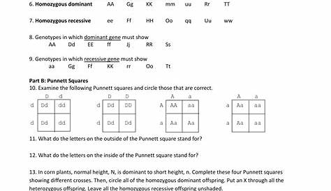 punnett square worksheets 1 answer key