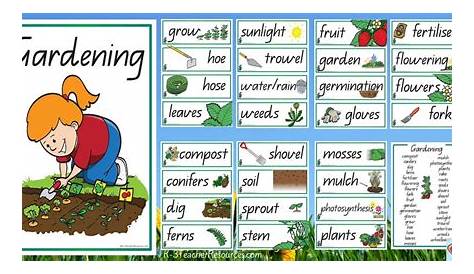 gardening worksheet for kindergarten