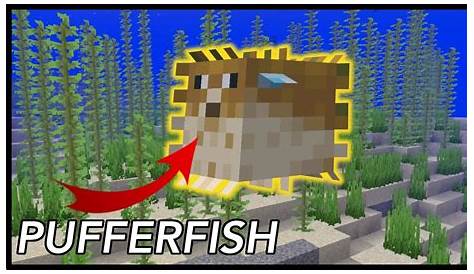 where to find pufferfish minecraft