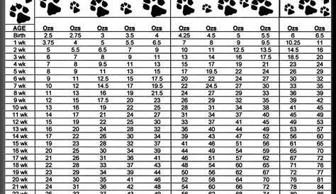 Pomeranian Growth Chart Kg - Pets Lovers
