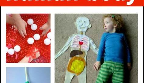Human Body Activities for Kids - I Can Teach My Child!