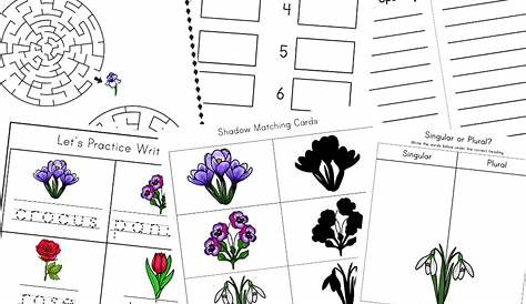 flowers worksheet for nursery