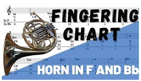 single french horn fingering chart