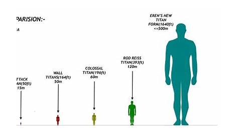 View 16 Eren Skeleton Founding Titan Height In Feet - Uzhaz Wallpaper