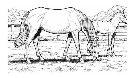 horse printables coloring pages