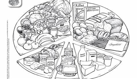 Eatwell plate colouring / activity sheet by healthy_resources