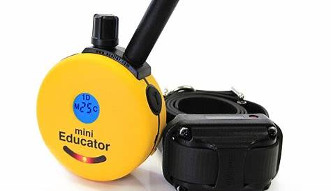 Mini Educator E-Collar 1/2 Mile Remote Dog Trainer ET-300 - Dawg Fence