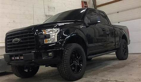 ford f150 black touch up paint