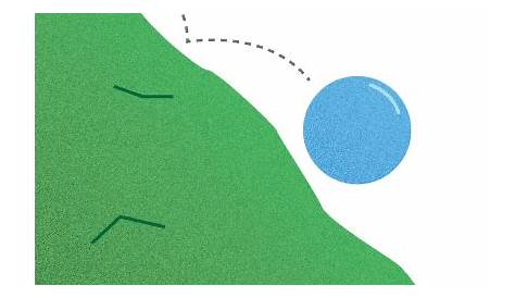 Section 1: Describing Motion | Nitty Gritty Science