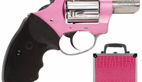 Charter Arms Chic Lady - For Sale - New :: Guns.com