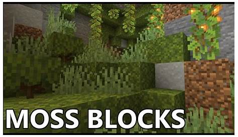 how to make moss blocks minecraft