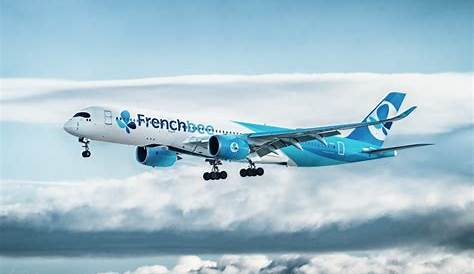 A Look at Frenchbee’s Premium Economy Class – AirlineGeeks.com