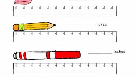 measurement worksheet for second graders