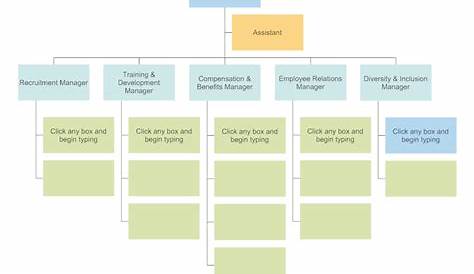 hr org chart example