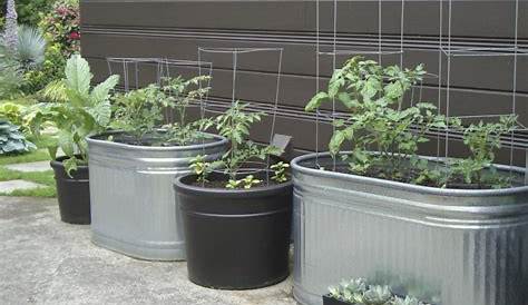 container gardening vegetables pot size